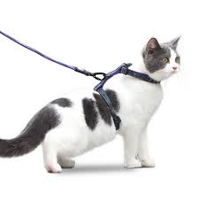 Cat Leash