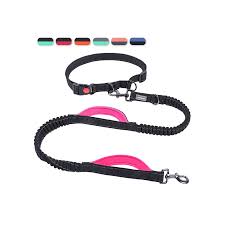 Dog Leash