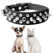 Dog and Cat Collars